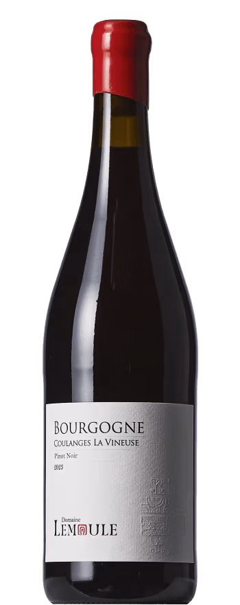 Domaine Lemoule Coulanges Burgundy Pinot Noir 2023