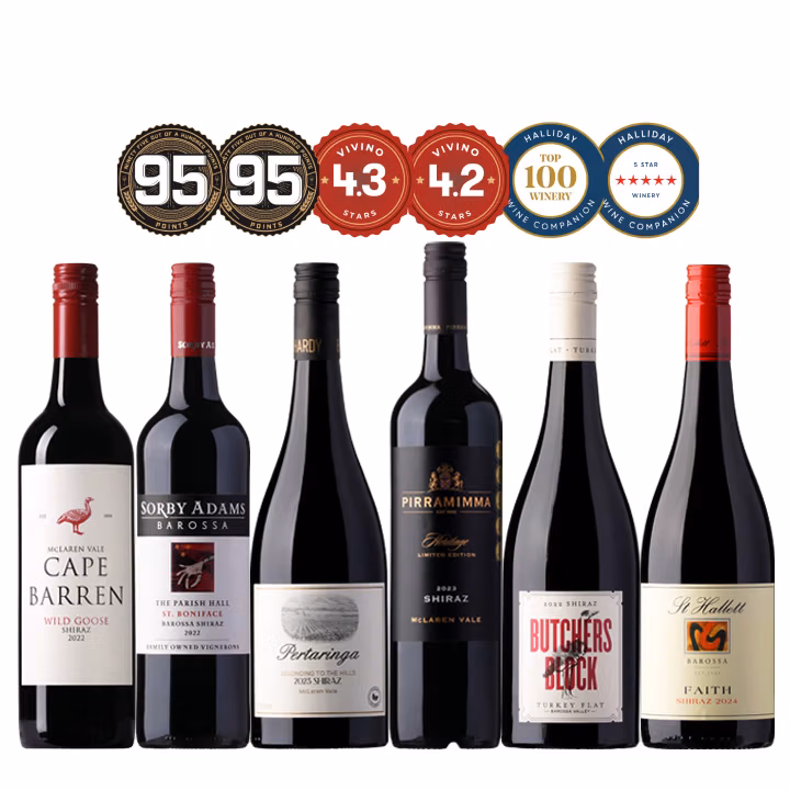 vinomofo-mixedcases-images/Mixed-withbadges/Six_Shiraz_99_6pk__720x720px