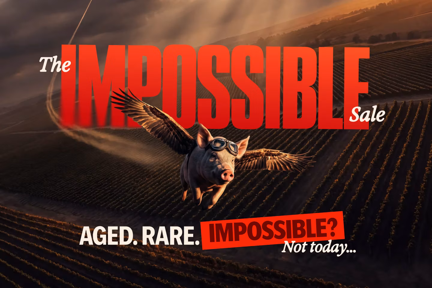 VM001747_The Impossible Sale 2026/Launch/VM001747_One_Day_2026_Medium_1440_x_969bgfbgfbgfhn_