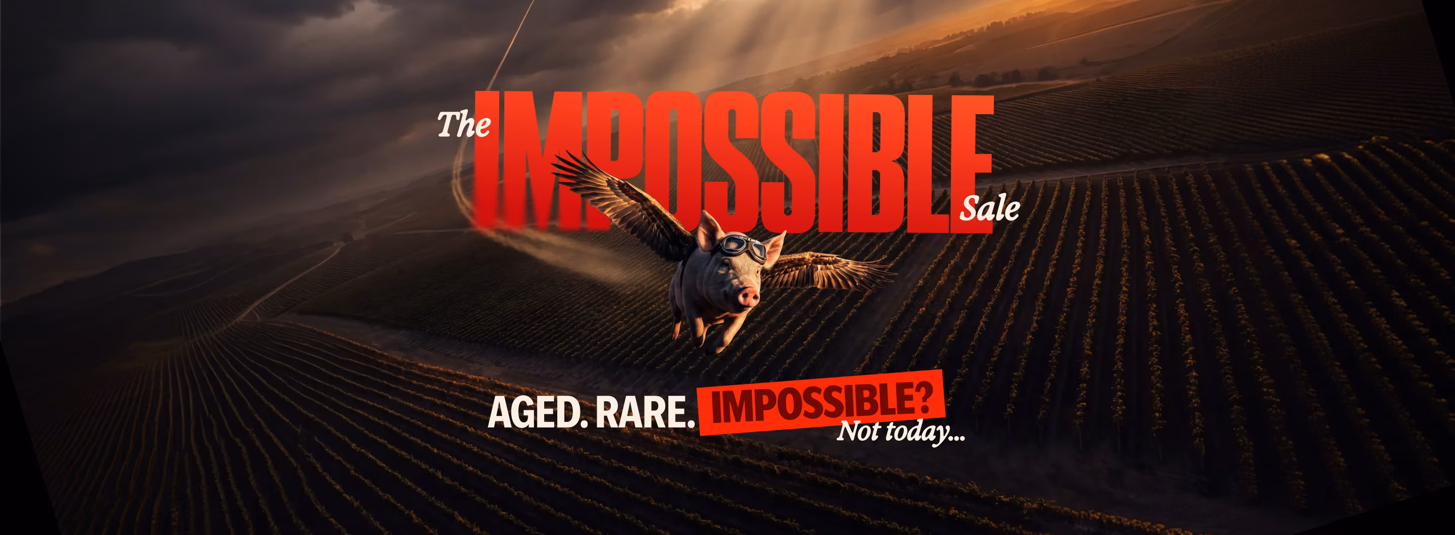 VM001747_The Impossible Sale 2026/Launch/VM001747_One_Day_2026_Large_2880_x_1072bgfbgfbgfhn_